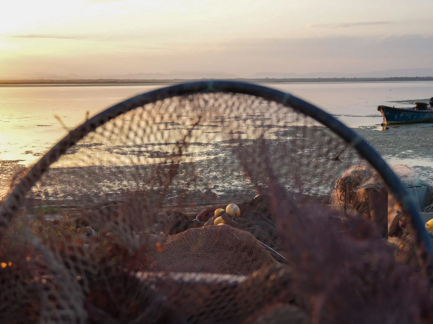 Filet de pêche au soleil couchant, étang de Canet